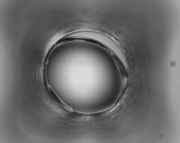 X0000090900152200708131359