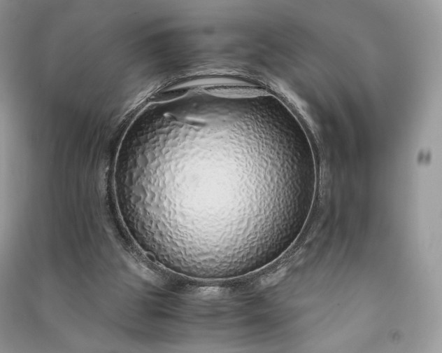 X0000090900153200708131359