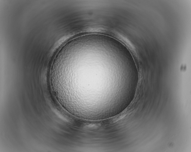 X0000090900155200708131359