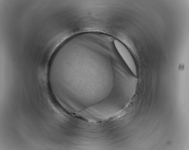 X0000090900156200708131359