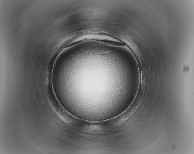 X0000090900157200708131359