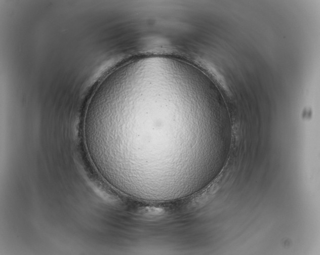 X0000090900159200708131359