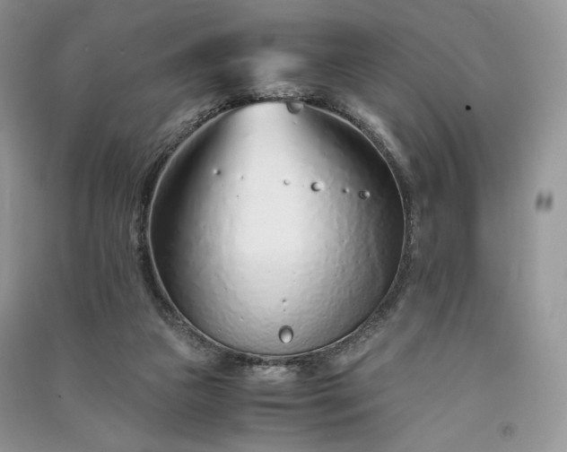 X0000090900161200708131359