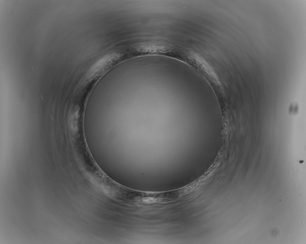 X0000090900163200708131359