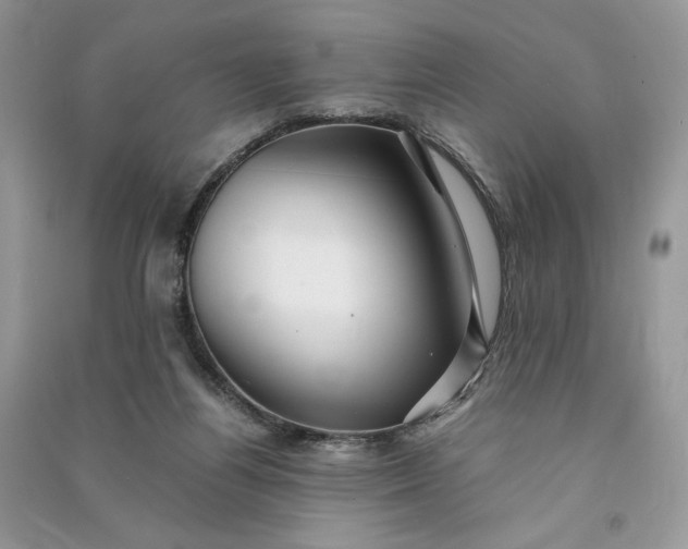 X0000090900164200708131359