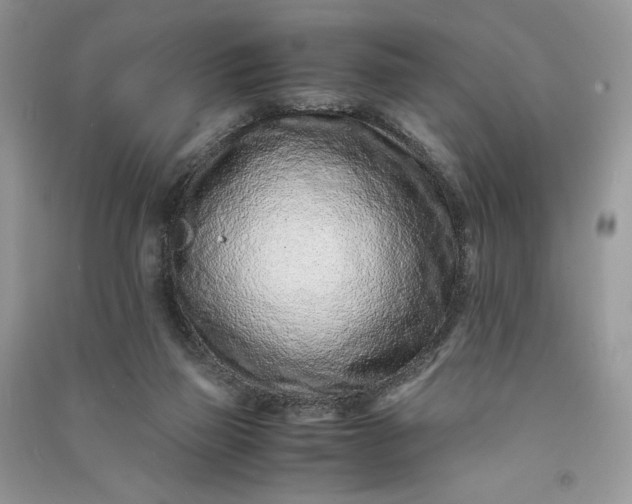 X0000090900165200708131359