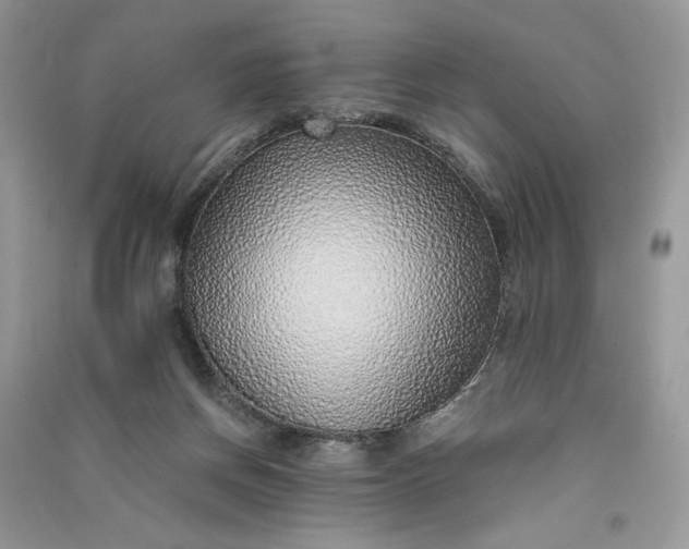 X0000090900166200708131359