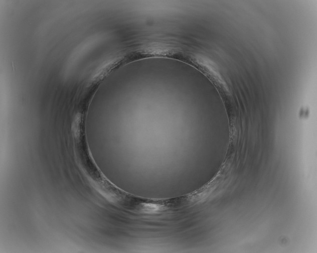 X0000090900167200708131359