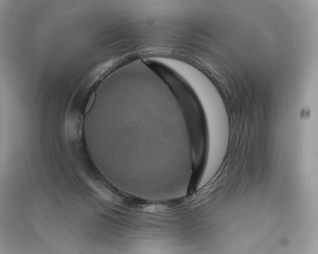 X0000090900168200708131359