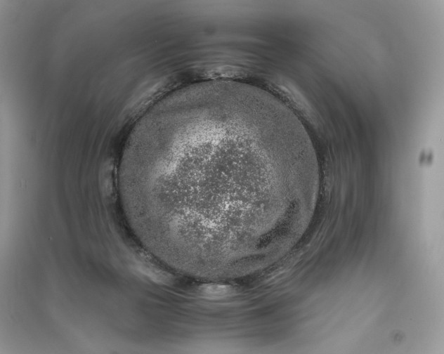 X0000090900169200708131359