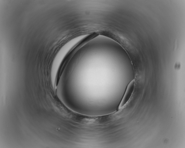 X0000090900170200708131359