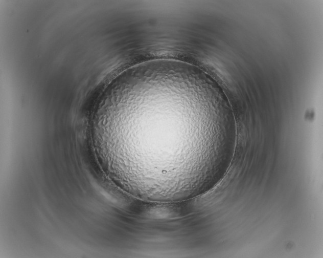 X0000090900171200708131400