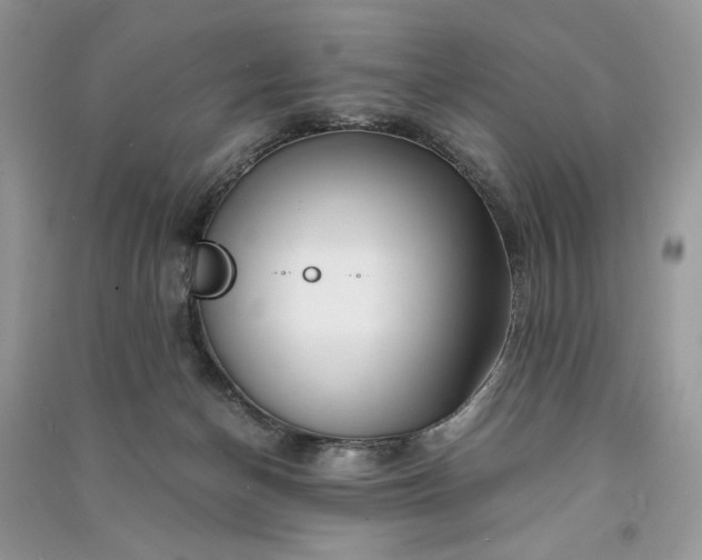 X0000090900174200708131400