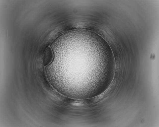 X0000090900175200708131400