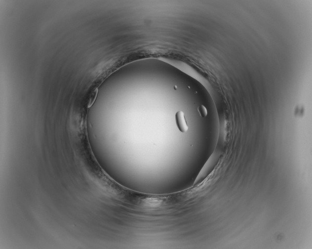 X0000090900176200708131400