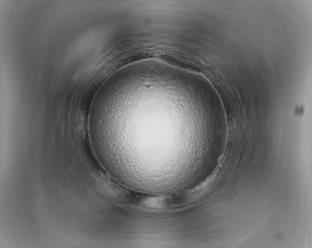 X0000090900178200708131400