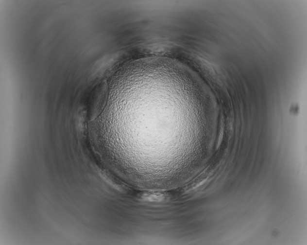 X0000090900181200708131400