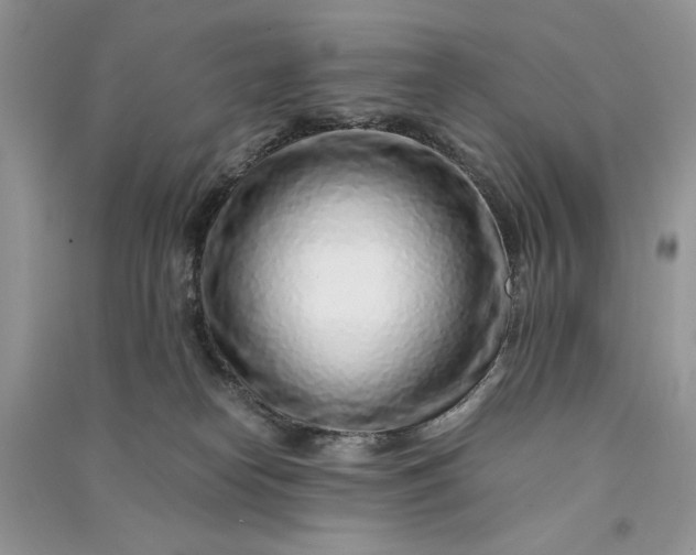 X0000090900182200708131400