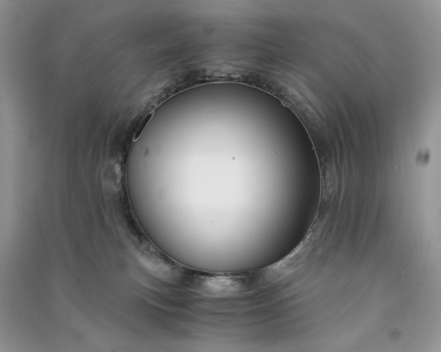 X0000090900183200708131400