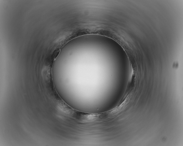 X0000090900184200708131400