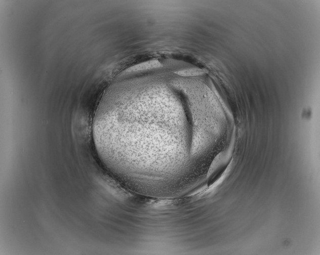 X0000090900186200708131400