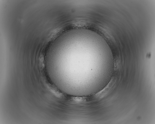 X0000090900187200708131400