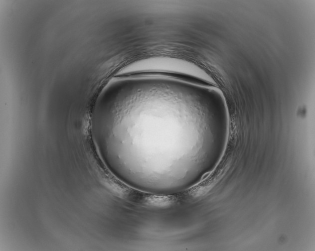 X0000090900189200708131400