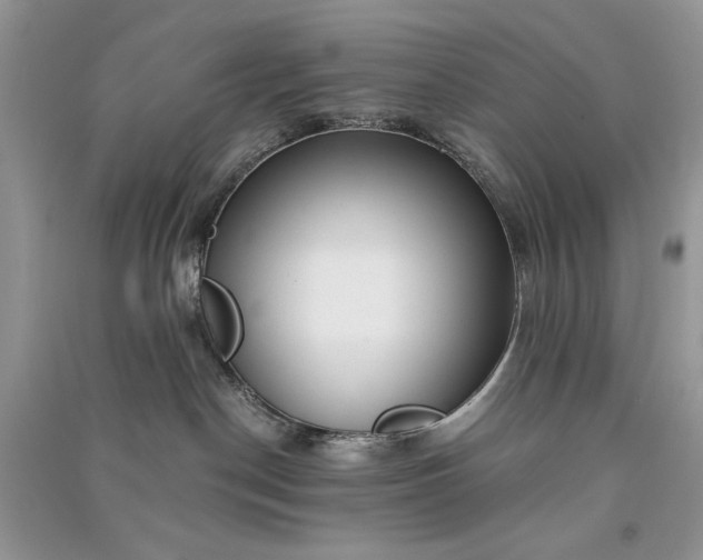 X0000090900190200708131400