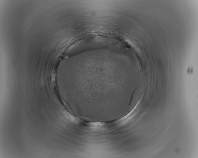 X0000090900192200708131400