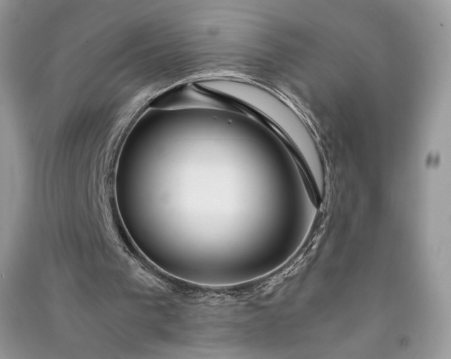 X0000090900193200708131359