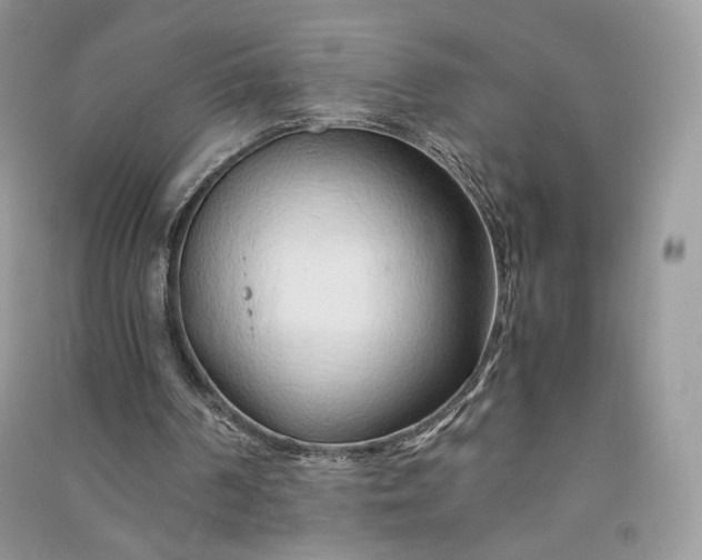 X0000090900194200708131359