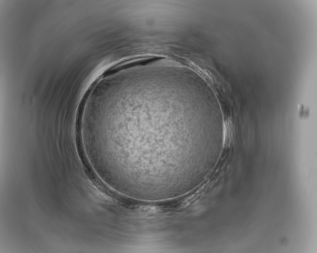 X0000090900195200708131359