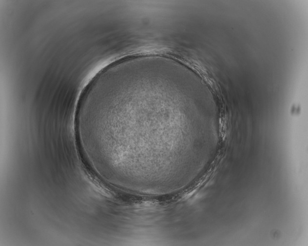 X0000090900196200708131359