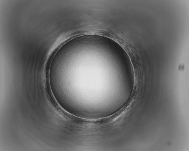 X0000090900198200708131359