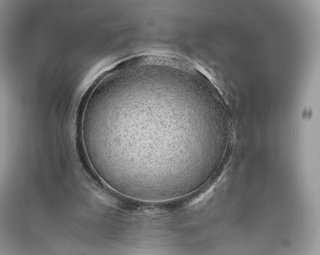 X0000090900199200708131359