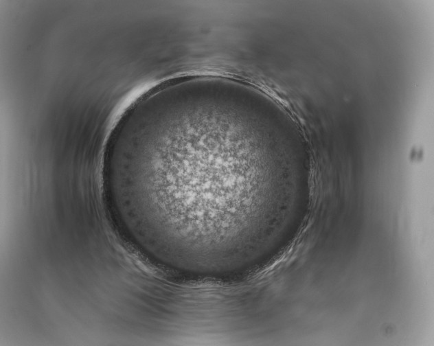 X0000090900200200708131359