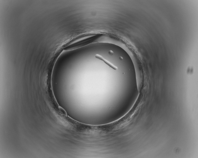 X0000090900201200708131359