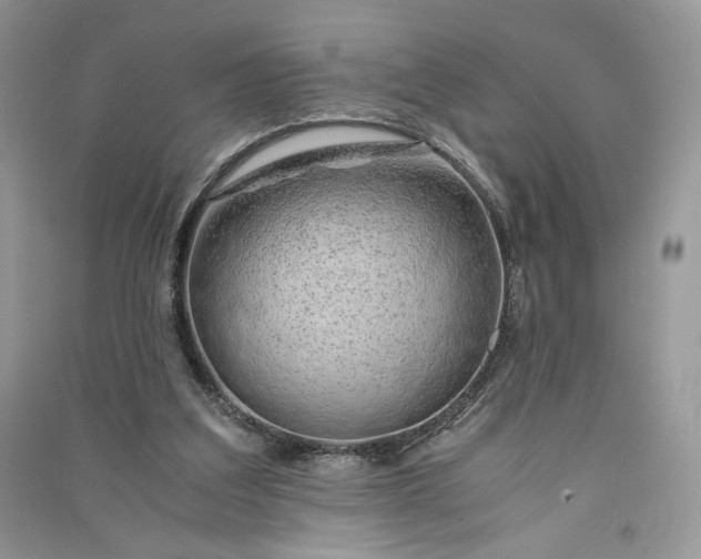 X0000090900203200708131359