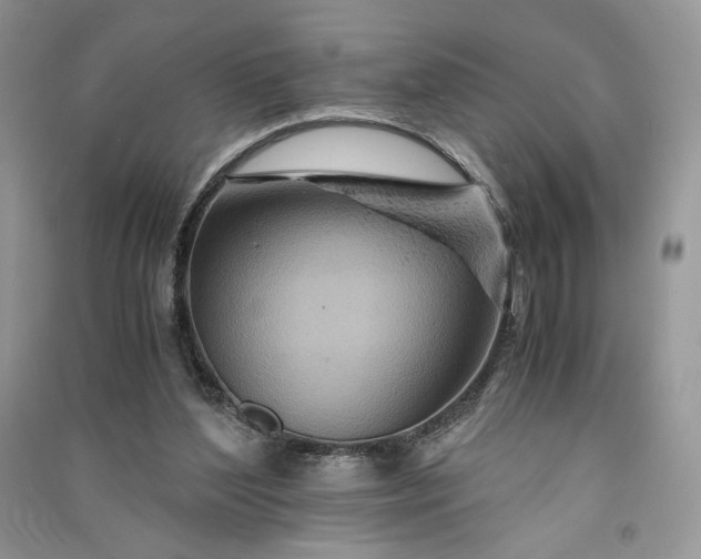 X0000090900204200708131359