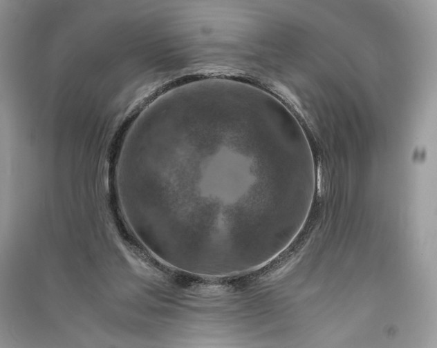 X0000090900205200708131359