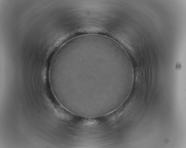 X0000090900206200708131359