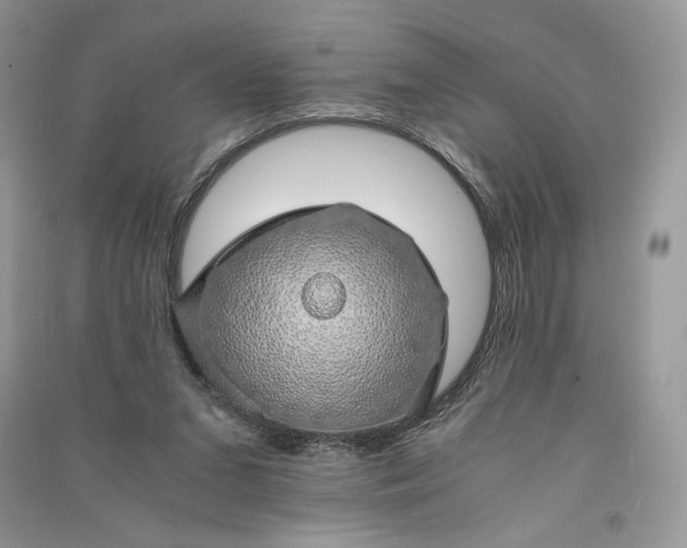 X0000090900207200708131359