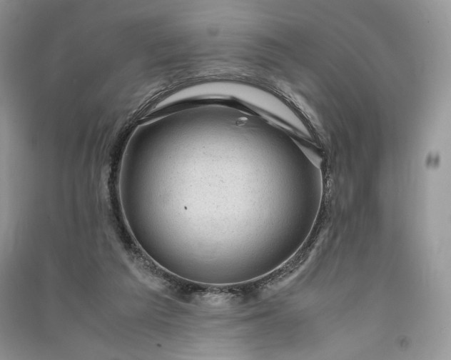 X0000090900209200708131359