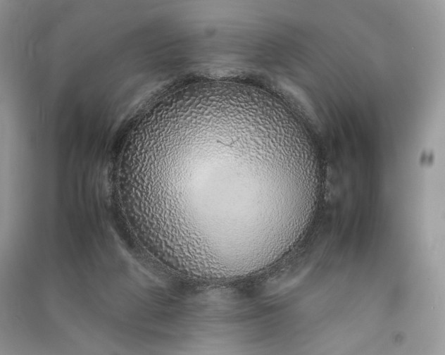 X0000090900210200708131359