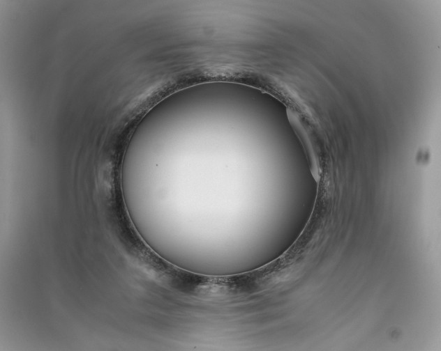 X0000090900211200708131359