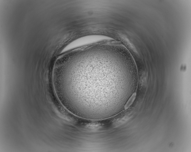 X0000090900213200708131359