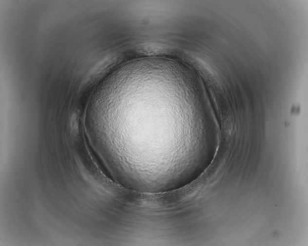 X0000090900214200708131359