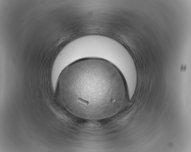 X0000090900215200708131359