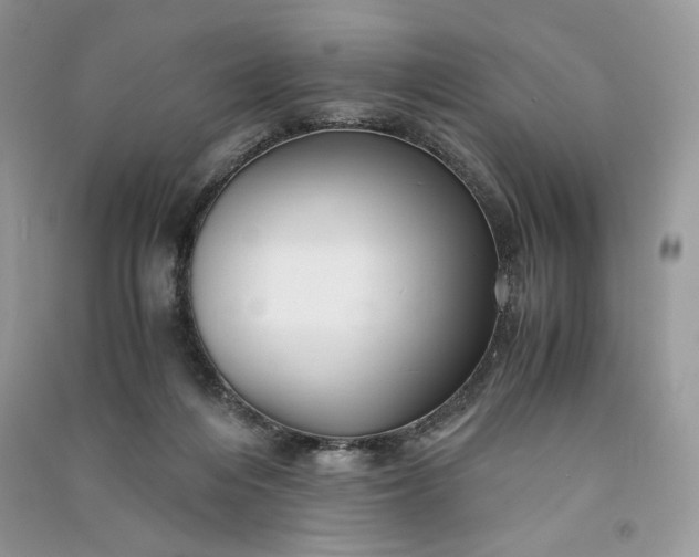 X0000090900216200708131359