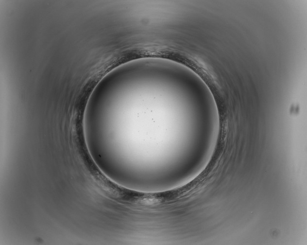 X0000090900217200708131359